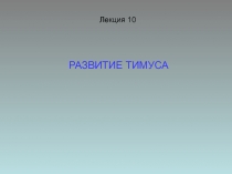 Лекция 10