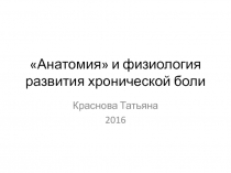 Анатомия и физиология развития хронической боли