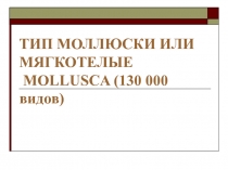 ТИП МОЛЛЮСКИ ИЛИ МЯГКОТЕЛЫЕ MOLLUSCA (130 000 видов)
