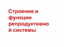 Строение и функции репродуктивной системы