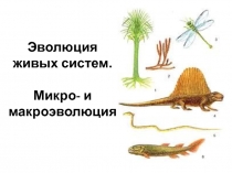 Эволюция живых систем. Микро- и макроэволюция