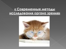 Современные методы исследования органа зрения