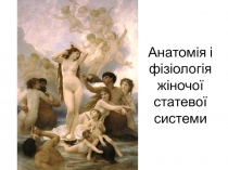 Анатомія і фізіологія жіночої статевої системи