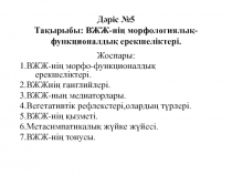 Дәріс №5 Тақырыбы: ВЖЖ-нің морфологиялық-функционалдық ерекшеліктері