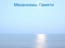 Механизмы Памяти