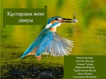 Құстардыңжеке дамуы
Орындағандар:
Ахатова Жұлдыз
Адаева Гүлнұр
Маратова