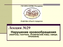 Лекция №29