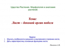 Пименов А.В.
Царство Растения. Морфология и анатомия растений.
Задачи:
Изучить