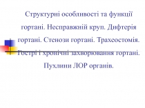 Структурні особливості та функції гортані. Несправжній круп. Дифтерія гортані