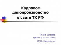 Анна Шапиро Директор по персоналу ООО  Энергодата