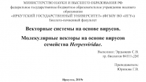 МИНИСТЕРСТВО НАУКИ И ВЫСШЕГО ОБРАЗОВАНИЯ РФ
федеральное государственное