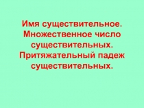 Имя существительное. Множественное число существительных. Притяжательный падеж