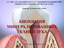 БИОХИМИЯ МИНЕРАЛИЗОВАННЫХ ТКАНЕЙ ЗУБА
Ассистент Демьяненко Е.В.
ГУ ЛНР