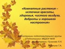 Комнатные растения – источник красоты, здоровья, чистого воздуха, доброты и