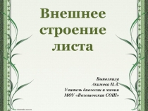 Внешнее строение листа
Выполнила
Акимова Н.А.
Учитель биологии и химии
МОУ