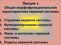 Лекция 1 Общая морфофункциональная характеристика нервной системы