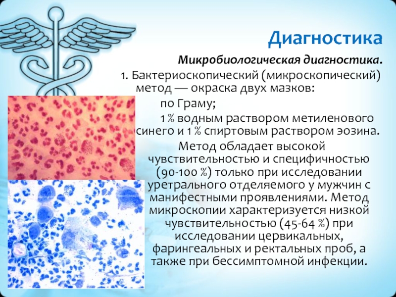 Гонококковые инфекции презентация