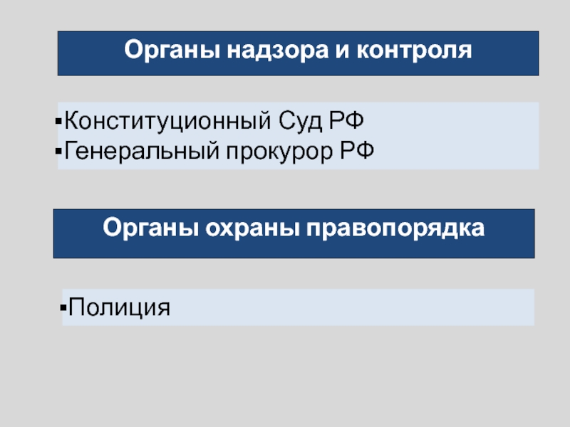 Органы надзора и контроля Конституционный Суд РФГенеральный прокурор РФОрганы охраны правопорядка Полиция