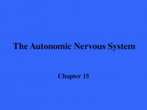 The Autonomic Nervous System