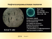 Лекция 5
Нефтегазопромысловая геология
2014