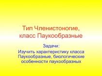 Тип Членистоногие, класс Паукообразные