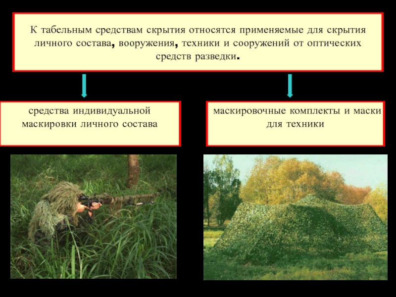 План световой маскировки организации образец