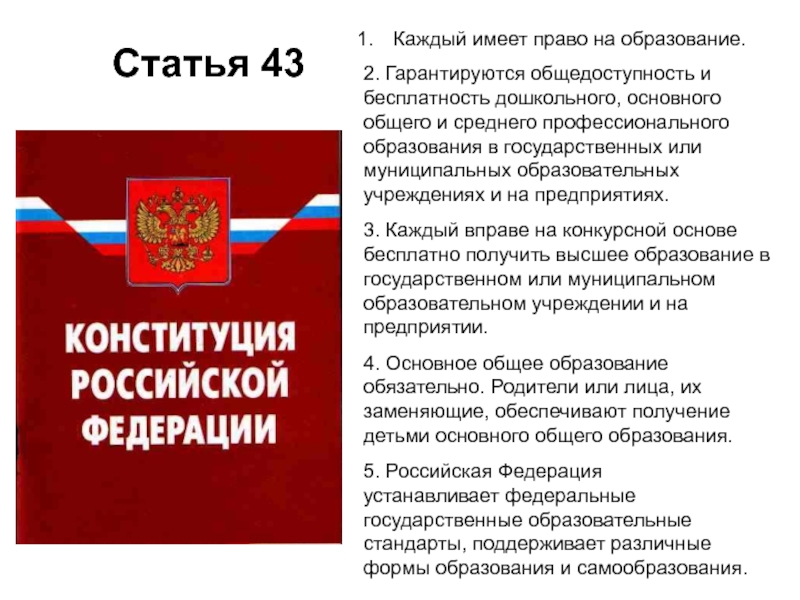 Школьники готовили презентацию о правовом государстве