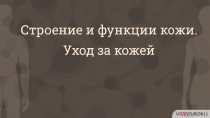 Строение и функции кожи.
Уход за кожей