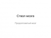 Ствол мозга