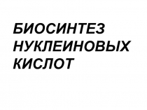 БИОСИНТЕЗ НУКЛЕИНОВЫХ КИСЛОТ