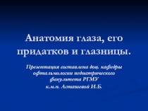 Анатомия глаза, его придатков и глазницы