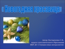 Новогодняя красавица
Автор: Костырченко С.Н.,
педагог дополнительного