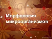 Морфология микроорганизмов