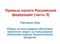 Прямые налоги Российской федерации (часть 5)