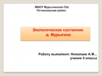 МБОУ Мурыгинская СШ
Починковский район
Экологическое состояние
д