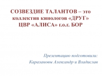 СОЗВЕЗДИЕ ТАЛАНТОВ – это коллектив кинологов ДРУГ ЦВР АЛИСА г.о.г. БОР