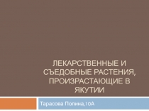 Лекарственные И съедобные растения,произрастающие в Якутии