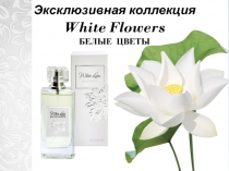 Эксклюзивная коллекция
White Flowers
БЕЛЫЕ ЦВЕТЫ