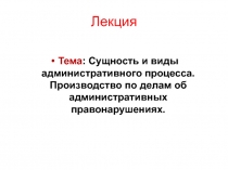 Лекция