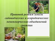Правовой режим земель садоводческих и огороднических некоммерческих объединений