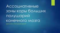 Ассоциативные зоны коры больших полушарий конечного мозга