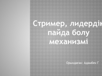 Орындаған: Адамбек Г
Стример, лидердің
пайда болу
механизмі