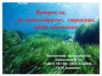 Водоросли,
их многообразие, строение,
среда обитания
Презентация преподавателя