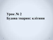 Урок № 2
Будова тварин: клітини