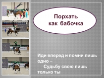 Порхать
как бабочка
Иди вперед и помни лишь одно –
Судьбу свою лишь только