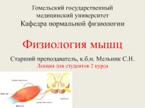 Гомельский государственный медицинский университет Кафедра нормальной