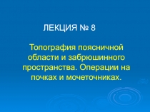 Топография поясничной области и забрюшинного пространства. Операции на почках и