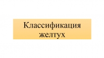 Классификация желтух