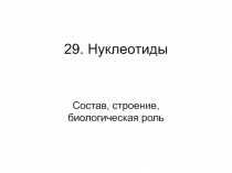 29. Нуклеотиды