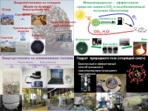 Микроводоросли – эффективное средство захвата CO 2 и возобновляемый источник